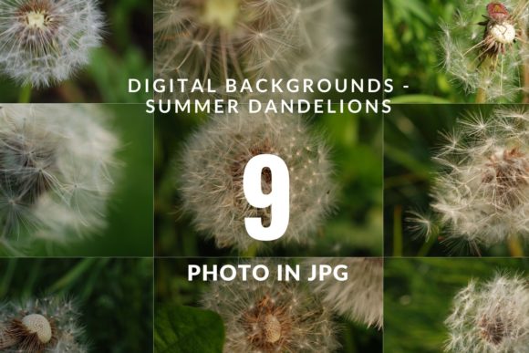 Dandelion Download Photography Set: Elevate Your Creative Projects with Stunning Botanical Art
