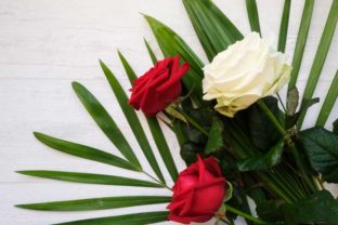 Red Roses and Palm Leaves: A Versatile Design Asset